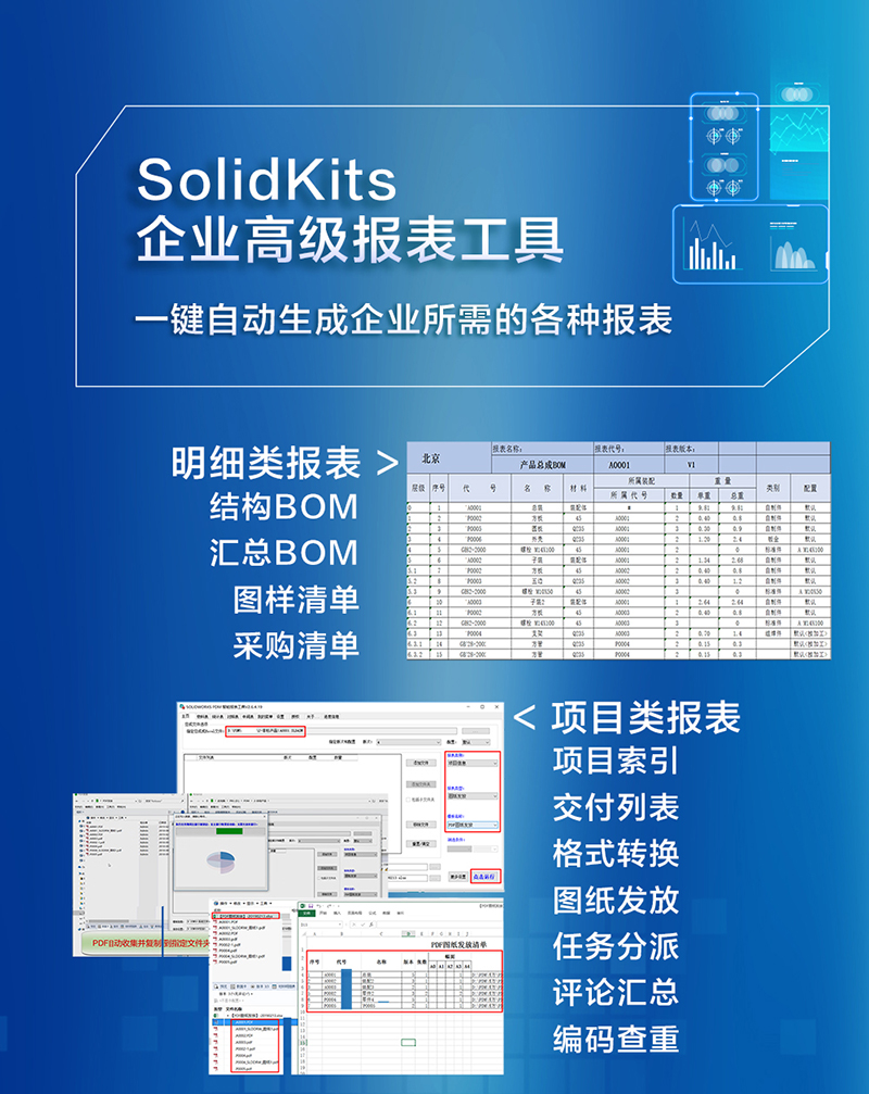 SolidKits企業(yè)高級報(bào)表工具.jpg