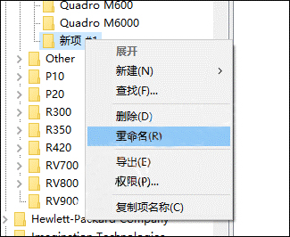 重命名項(xiàng)名稱為之前復(fù)制的顯卡名稱